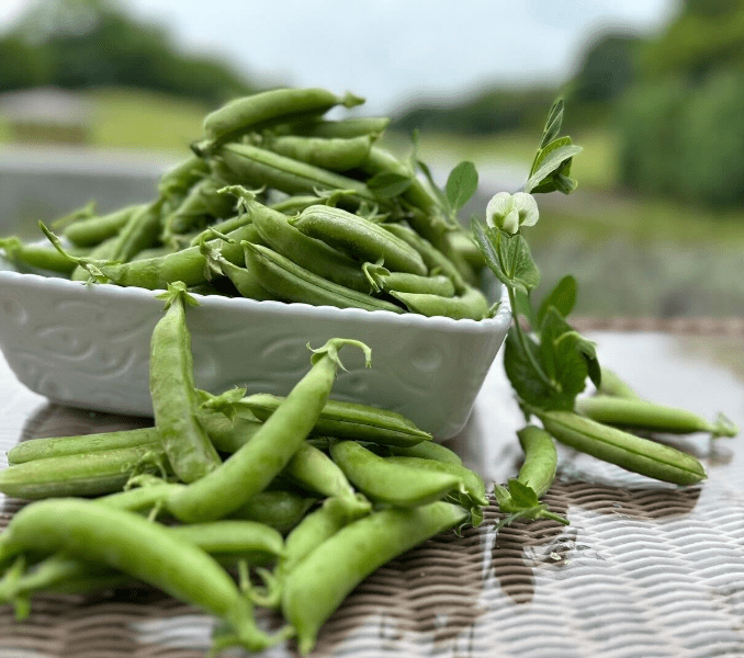 食材を愛でるの画像④